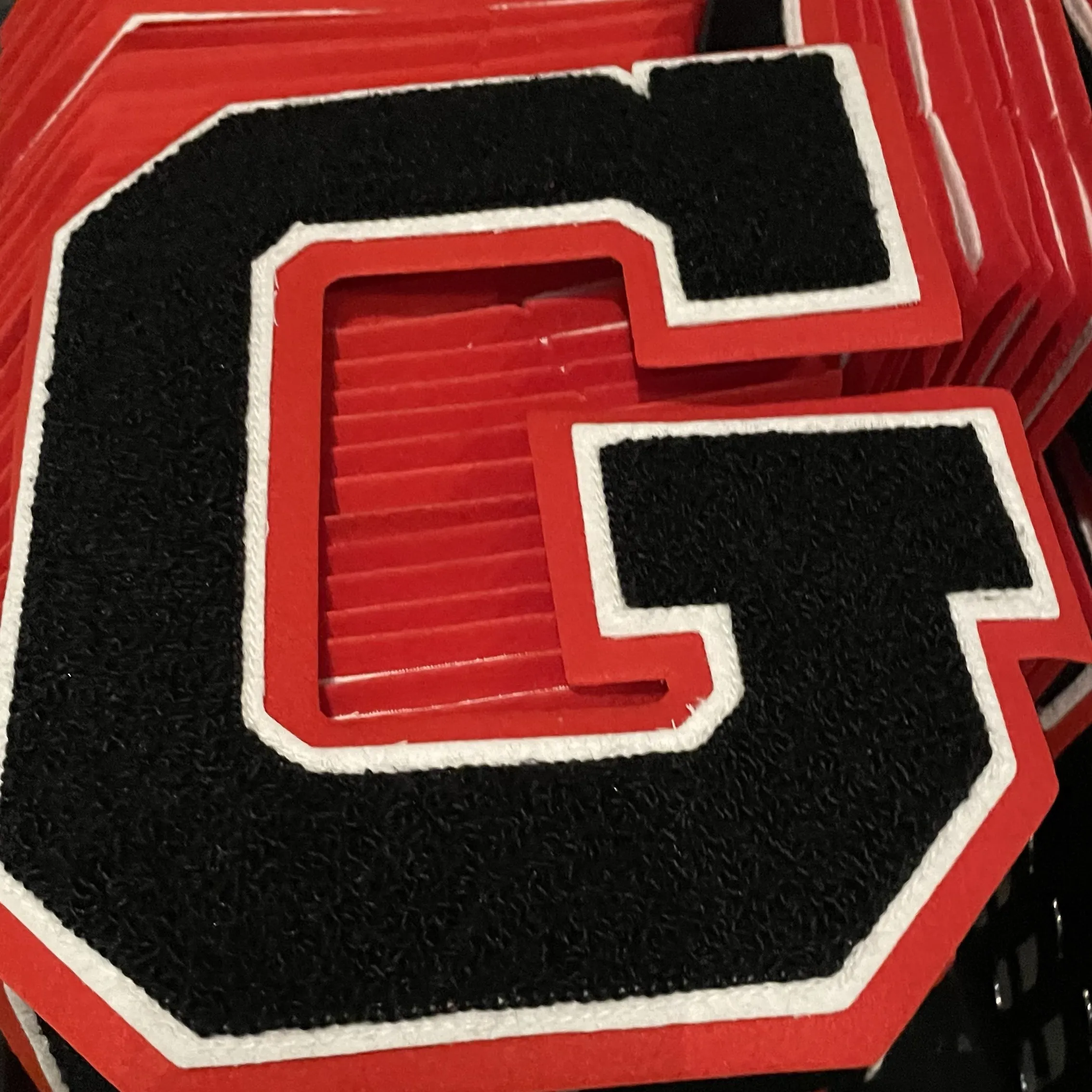 2025 Academy of Scholars ceremony